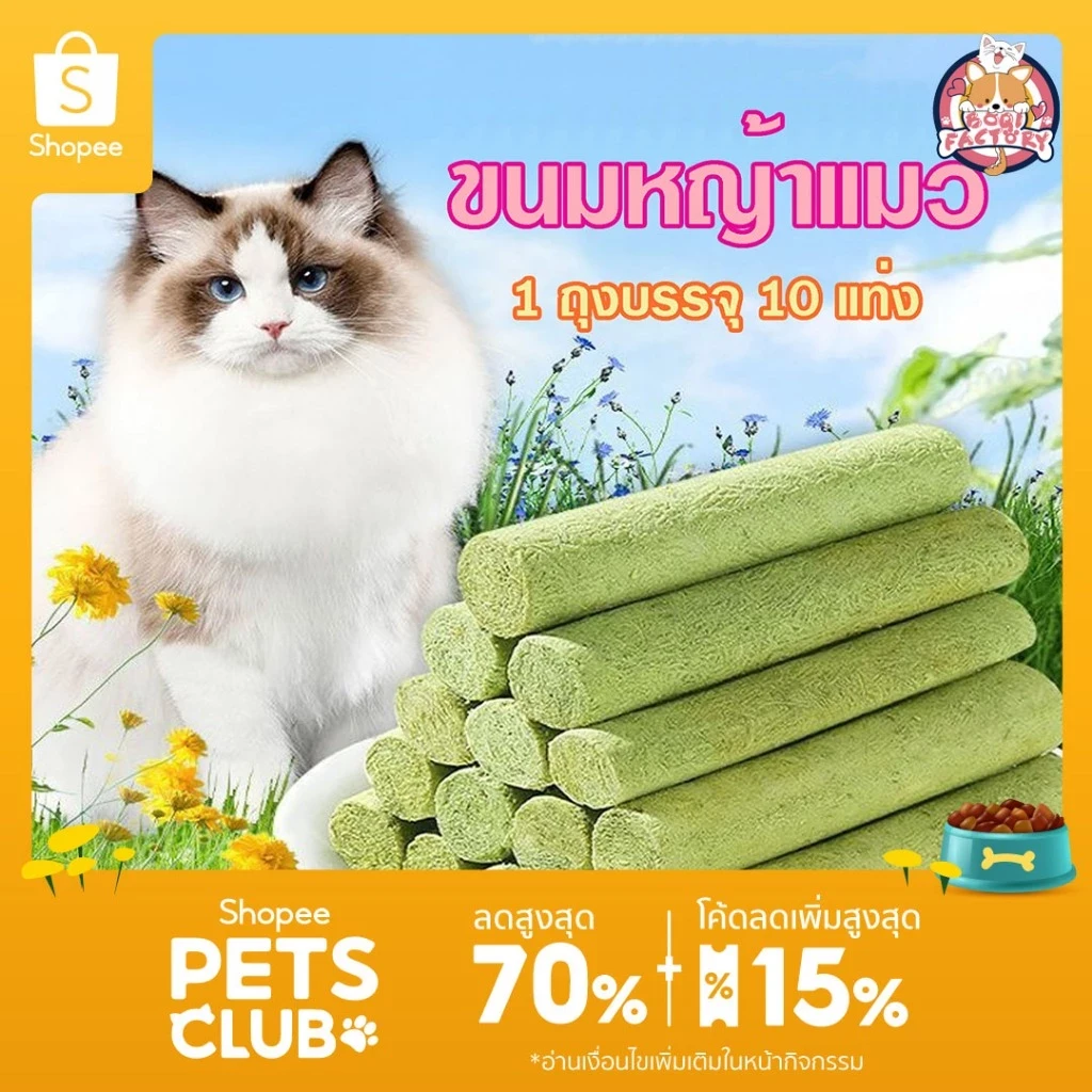 5 เหตุผลที่คุณควรเลือกซื้อ "Boqi Factory ขนมหญ้าแมว ผลิตจากต้นอ่อนข้าวสาลี ช่วยขัดฟัน 1 ถุง บรรจุ 10 ชิ้น Catnip Sticks 10pcs" (อัปเดท 2025)