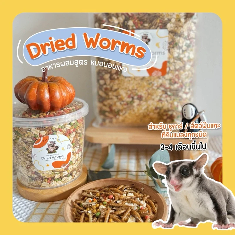 5 เหตุผลที่คุณควรเลือกซื้อ "อาหารเสริมอาหารผสม (สูตรหนอนอบแห้ง)  สำหรับชูการ์ไกรเดอร์ เม่นแคระ กระรอก ดอร์เมาท์ และสัตว์กินแมลงทุกชนิด" (อัปเดท 2025)