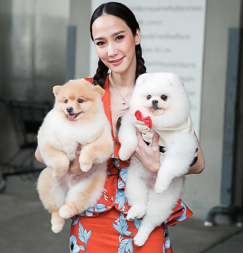 อั้ม พัชราภา ขอเสียงห่วงใยให้ “น้องหมาจร” ช่วงเคาท์ดาวน์ พลุปีใหม่ทำขวัญผวา!