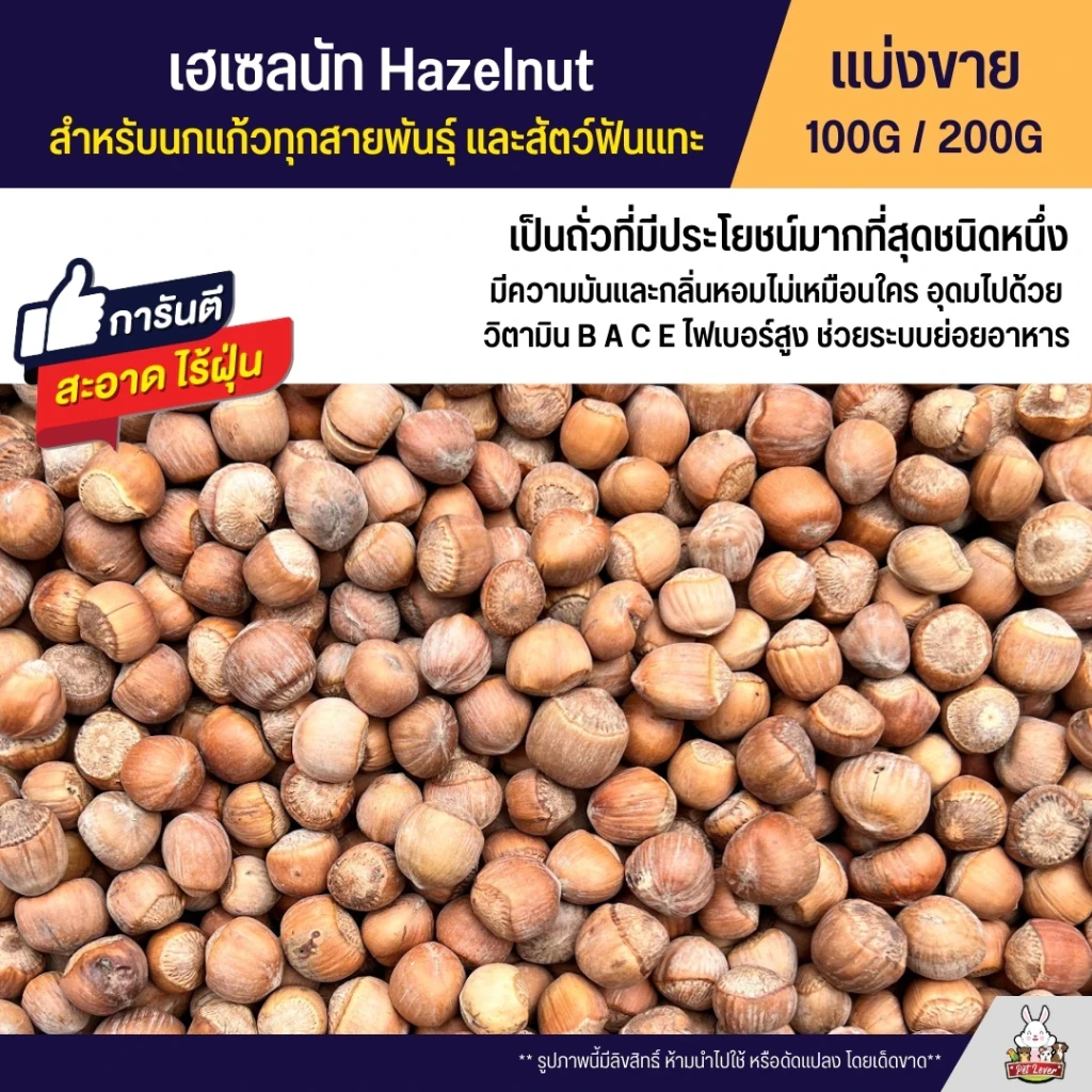 5 เหตุผลที่คุณควรเลือกซื้อ "เฮเซลนัท Hazelnut แบบสด ไม่อบ อาหารนกแก้ว และสัตว์ฟันแทะทุกชนิด" (อัปเดท 2025)