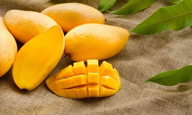 5 เรื่องไม่รู้ไม่ได้ ก่อนให้น้องหมากิน มะม่วง (2026)