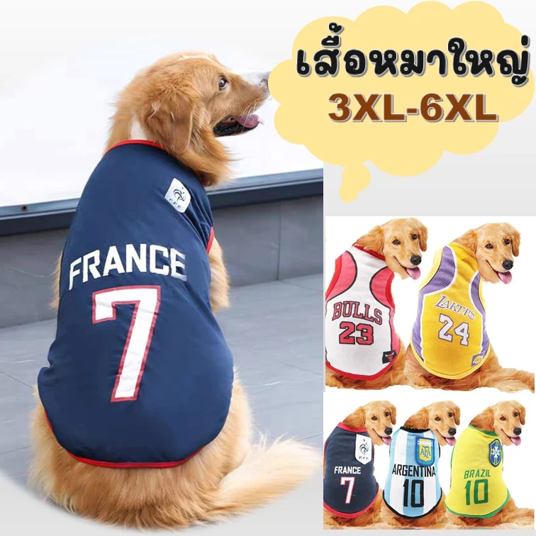 เสื้อหมาใหญ่ เสื้อกล้ามหมาใหญ่ เสื้อกีฬาสุนัข 3XL-6XL (อัปเดท 2025)
