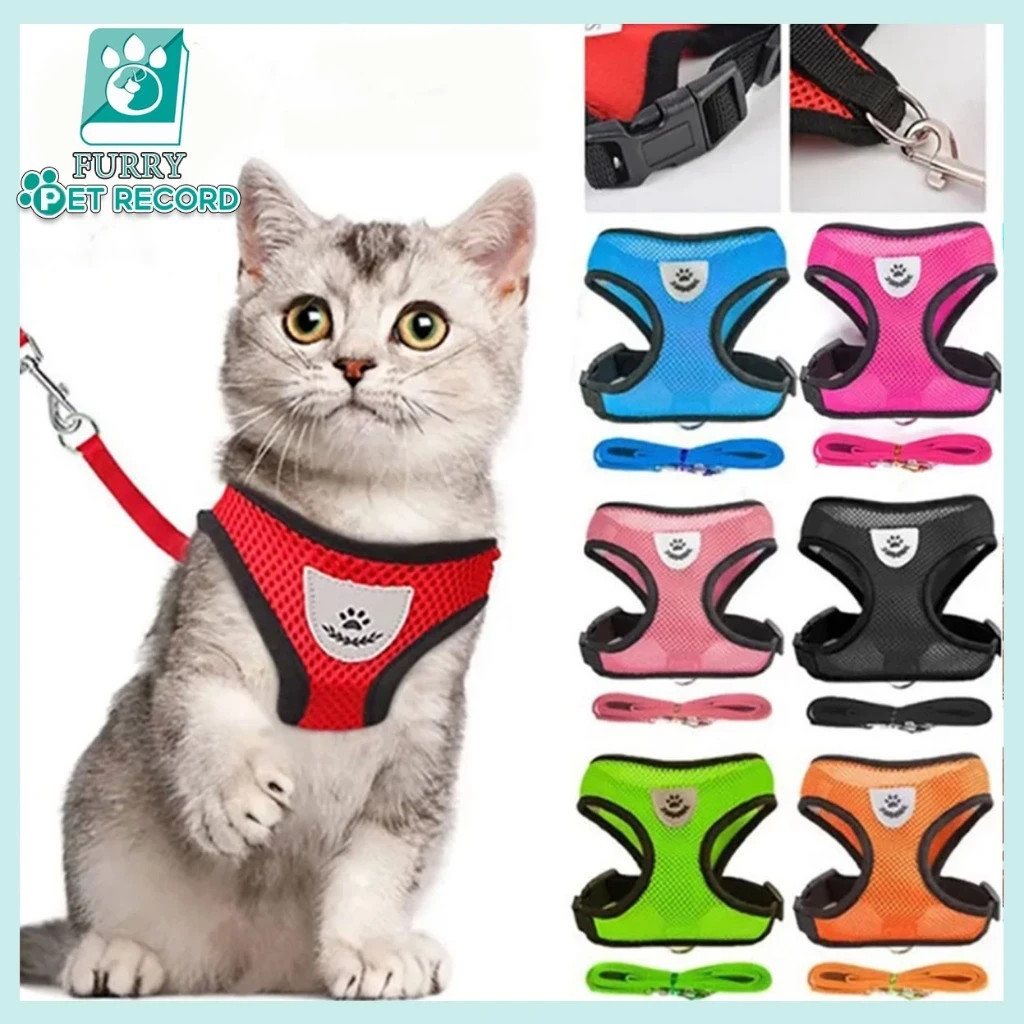 สายจูงแมวรัดอก จูงหมา สําหรับสัตว์เลี้ยง สุนัข แมว กระต่าย ขนาดเล็ก เสื้อจูงแมว ผ้าตาข่าย พร้อมสายจูง บสัตว์เลี้ยง (อัปเดท 2025)