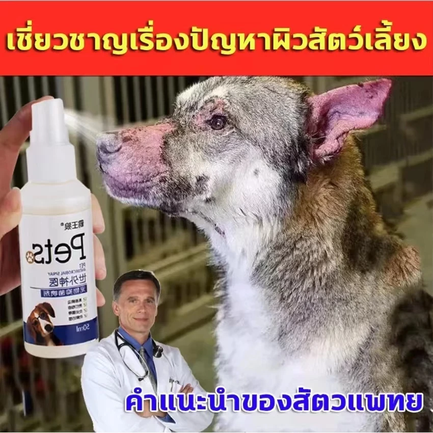 5 เหตุผลที่คุณควรเลือกซื้อ "สเปรย์รักษาขี้เรื้อน ยาขี้เรื้อนหมา ยาแก้ขี้เรื้อน เชื้อราแมว ยารักษาขี้เรื้อน ยารักษาเชื้อราแมว โรคผิวหนังจากเชื้อรา" (อัปเดท 2025)