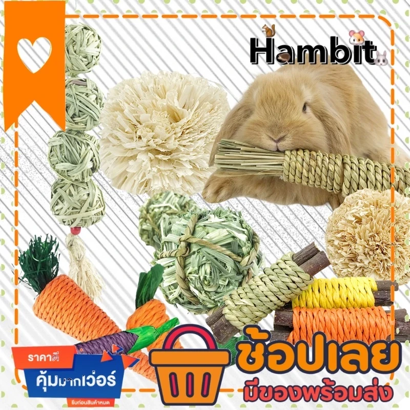 5 เหตุผลที่คุณควรเลือกซื้อ Hambit ของเล่นกระต่าย – บอลหญ้ากระต่าย & ของเล่นแก้สบี้ หญ้ากระต่าย (อัปเดท 2025)