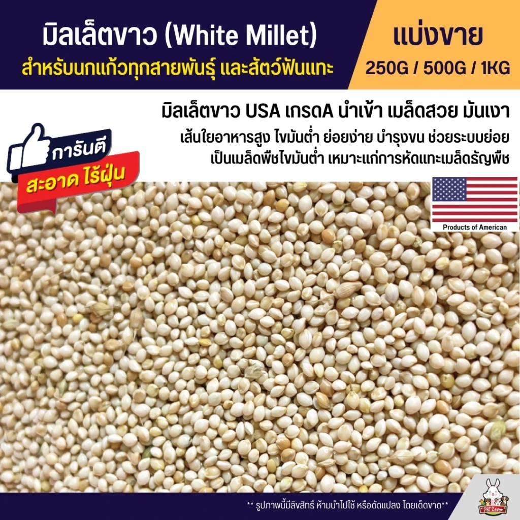 5 เหตุผลที่คุณควรเลือกซื้อ "มิลเล็ตขาว White Millet USA เกรดA อาหารนกแก้ว และสัตว์ฟันแทะ" (อัปเดท 2025)