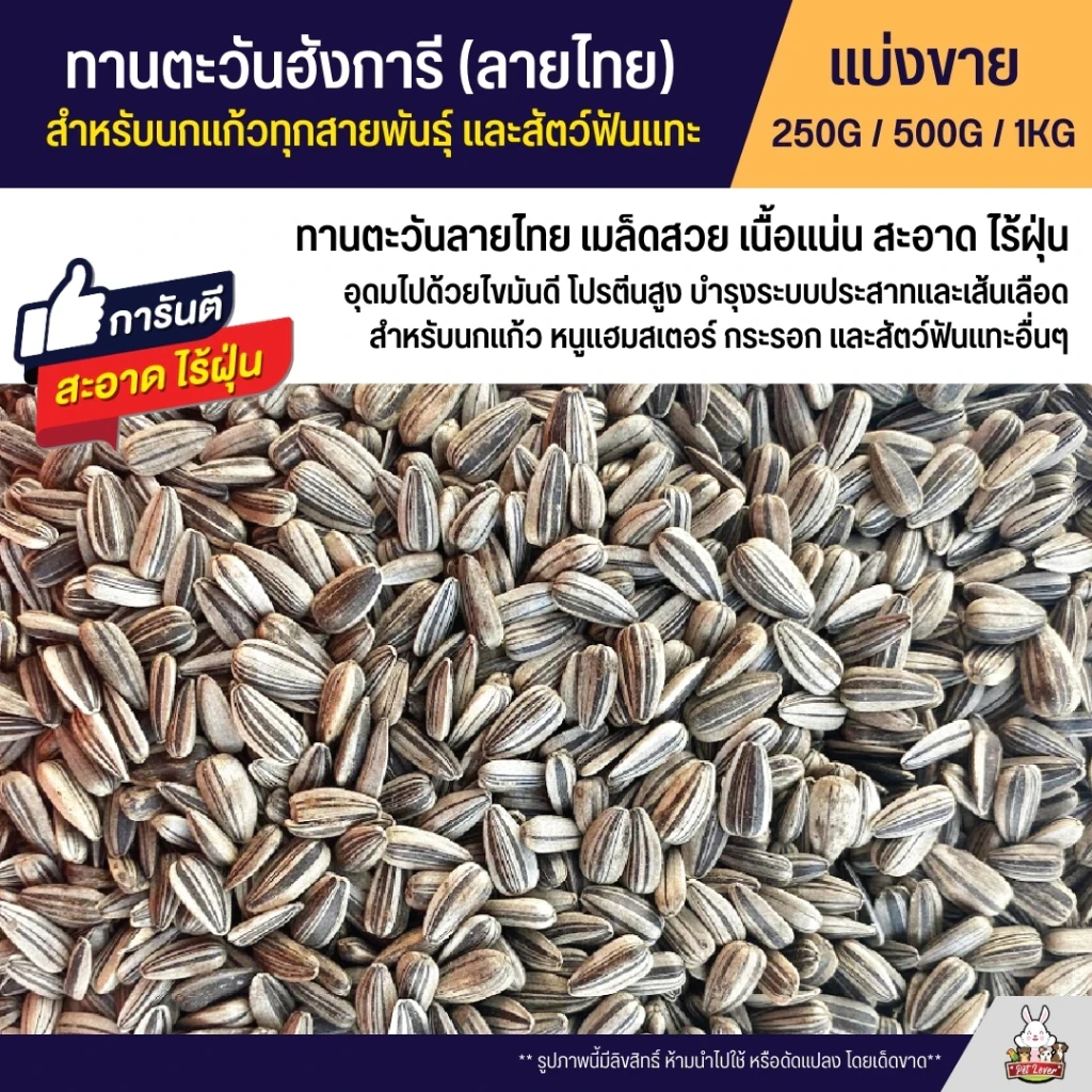 5 เหตุผลที่คุณควรเลือกซื้อ "ทานตะวันฮังการี เกรดA เม็ดเล็ก อาหารนกแก้ว และสัตว์ฟันแทะ" (อัปเดท 2025)