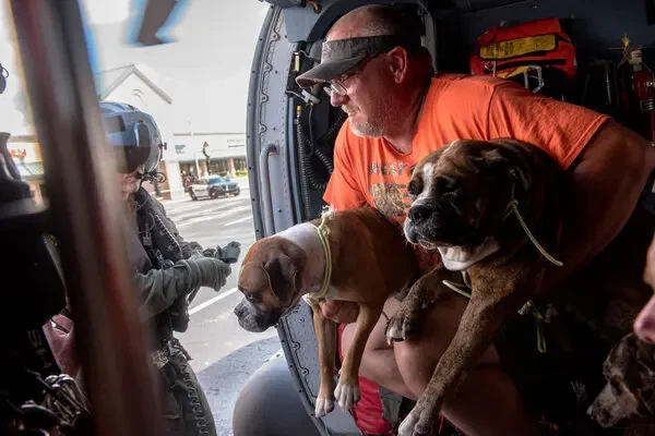 5 วิธีปกป้องหมา-แมวในช่วงสงครามให้อยู่รอดปลอดภัย (อัปเดท 2025)