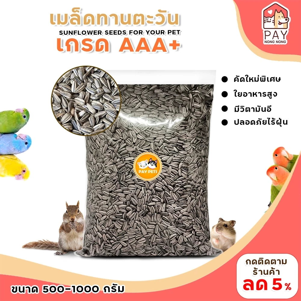 5 เหตุผลที่คุณควรเลือกซื้อ "เมล็ดทานตะวันนกคัดพิเศษ" (อัปเดท 2025)