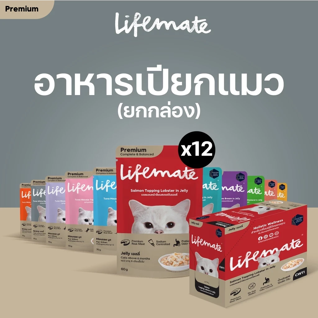 5 เหตุผลที่คุณควรเลือกซื้อ LIFEMATE Cat Wet Food (อัปเดท 2025)
