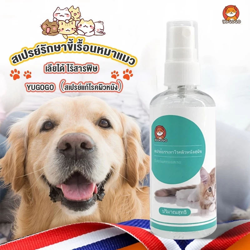 5 เหตุผลที่คุณควรเลือกซื้อสเปรย์แก้โรคผิวหนังสุนัข (อัปเดท 2025)