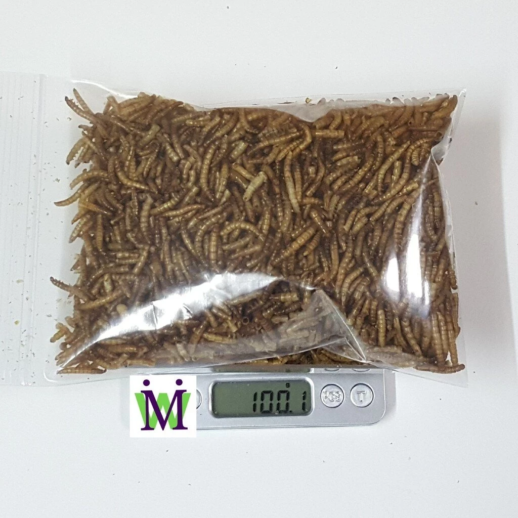 5 เหตุผลที่คุณควรเลือกซื้อ "หนอนนกอบแห้ง 100g / 50g หนอนอบแห้ง mushi อาหารหนูแฮมสเตอร์ อาหารนก อาหารเม่น อาหารชูการ์ อาหารแพรี่ด็อก อาหารไก่" (อัปเดท 2025)