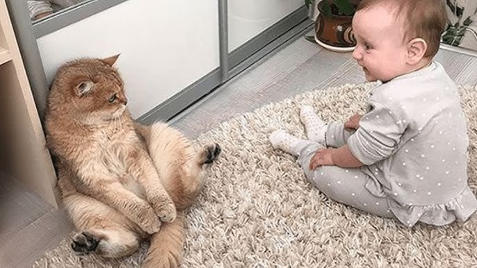 5 คำแนะนำ! การเลี้ยงแมวและเด็กอย่างถูกวิธี คือกุญแจสู่บ้านแฮปปี้ (ทั้งแมว ทั้งลูก ทั้งพ่อแม่) (อัปเดท 2025)