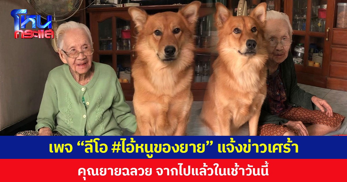 ลาก่อน “คุณยายของลีโอ” ผู้สร้างรอยยิ้มให้ทั้งโซเชียล ขอบคุณที่รักสัตว์อย่างงดงามตลอดชีวิต (อัปเดท 2025)
