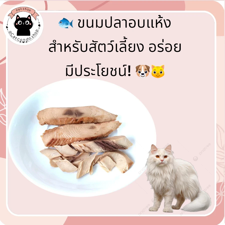 5 เหตุผลที่คุณควรเลือกซื้อ "ขนมปลาอบแห้งสำหรับสัตว์เลี้ยง อร่อย มีประโยชน์ ปลาทูแมว ขนมแมว 15กรัม" (อัปเดท 2025)