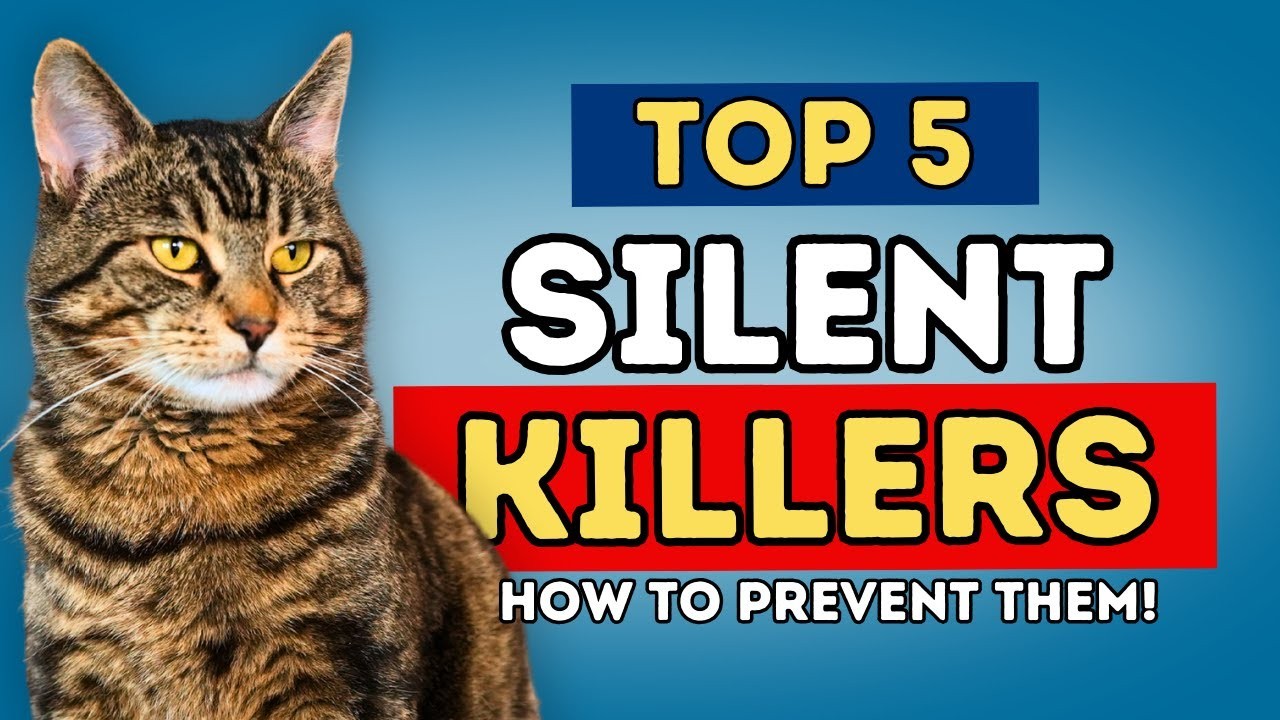 5 วิธีดูแล “หมาแมวเจ็บเงียบๆ” รับปี 2025 (ฮาแต่จริง!) (อัปเดท 2025)