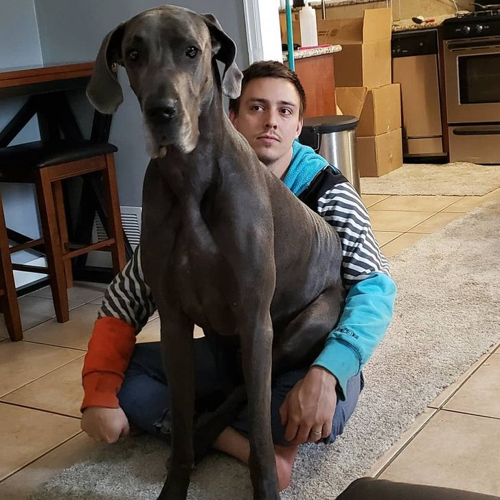 เปิด 5 สถิติน่ารู้ “ทำไมน้องหมาชอบมานอนทับตัวเรา?” อ้อนธรรมดาหรือส่งสัญญาณลับบางอย่าง? (อัปเดท 2025)