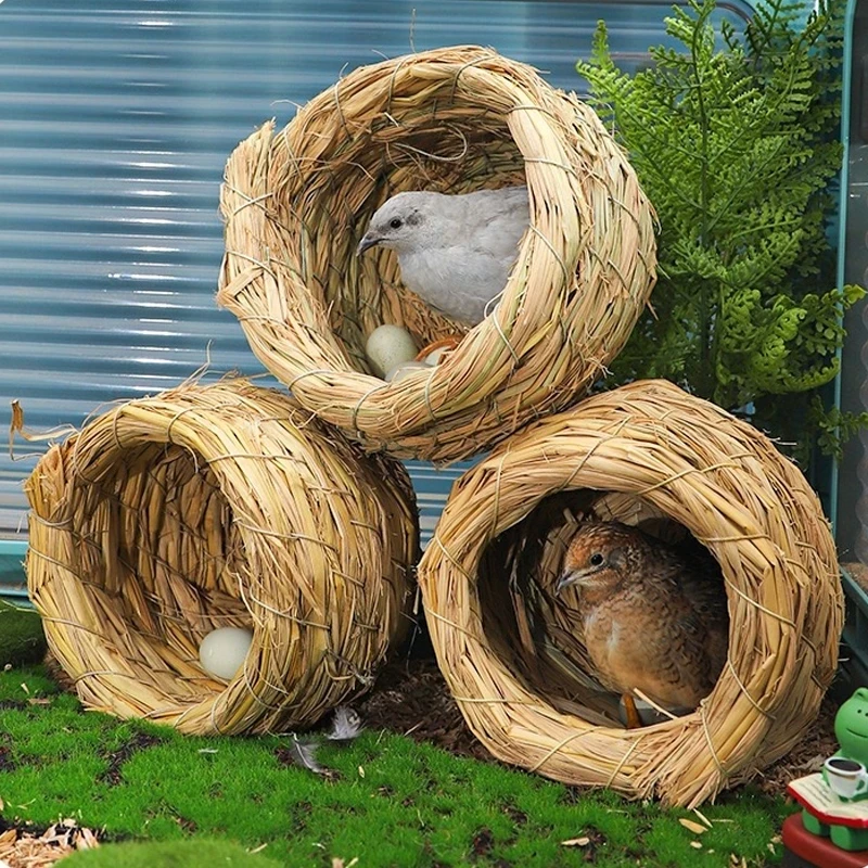 5 เหตุผลที่คุณควรเลือกซื้อ "บ้านนก บ้านหญ้านก บ้านสัตว์เล็ก รังนก รังฟาง รังหญ้า งานถักมือ แขวนกรงได้" (อัปเดท 2025)