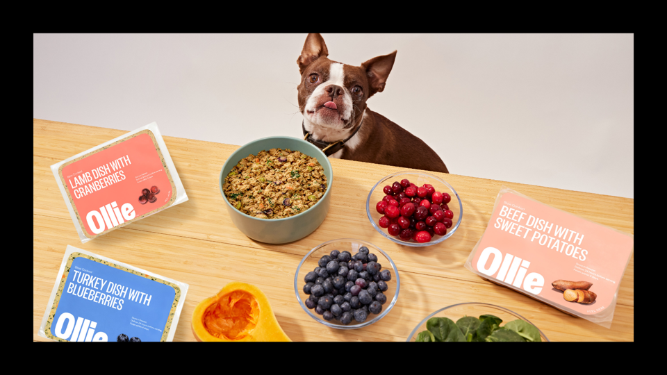 5 เรื่องน่าตกใจเกี่ยวกับ “อาหารสุนัขไขมันต่ำ” ที่เจ้าของหมาต้องรีบรู้ (อัปเดท 2025)