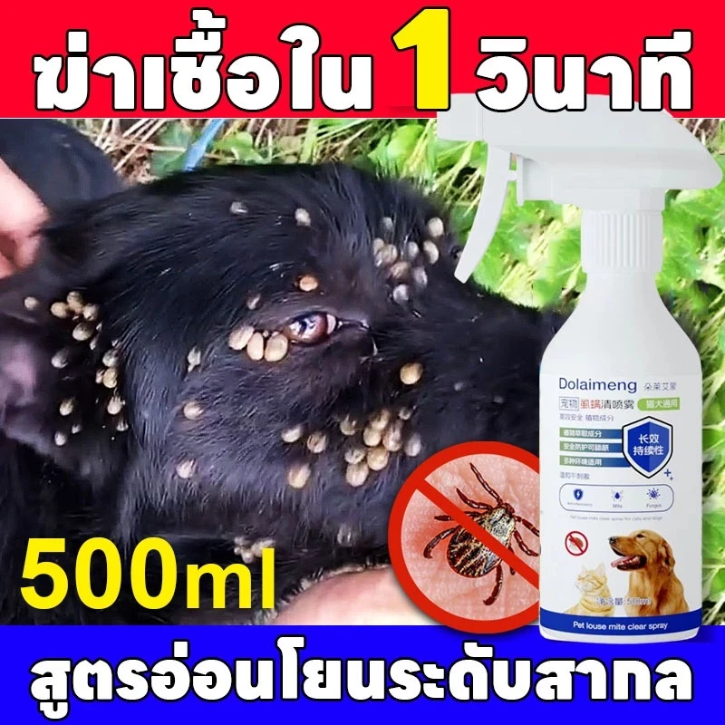 5 เหตุผลที่คุณควรเลือกซื้อ "ฉีดสเปรย์ 1 ครั้ง ฆ่าเชื้อ ผลชัดเจน Hb ยาฆ่าเห็บหมัด ยาเห็บหมัดหมา กำจัดเห็บและหมัด 510ml" (อัปเดท 2025)