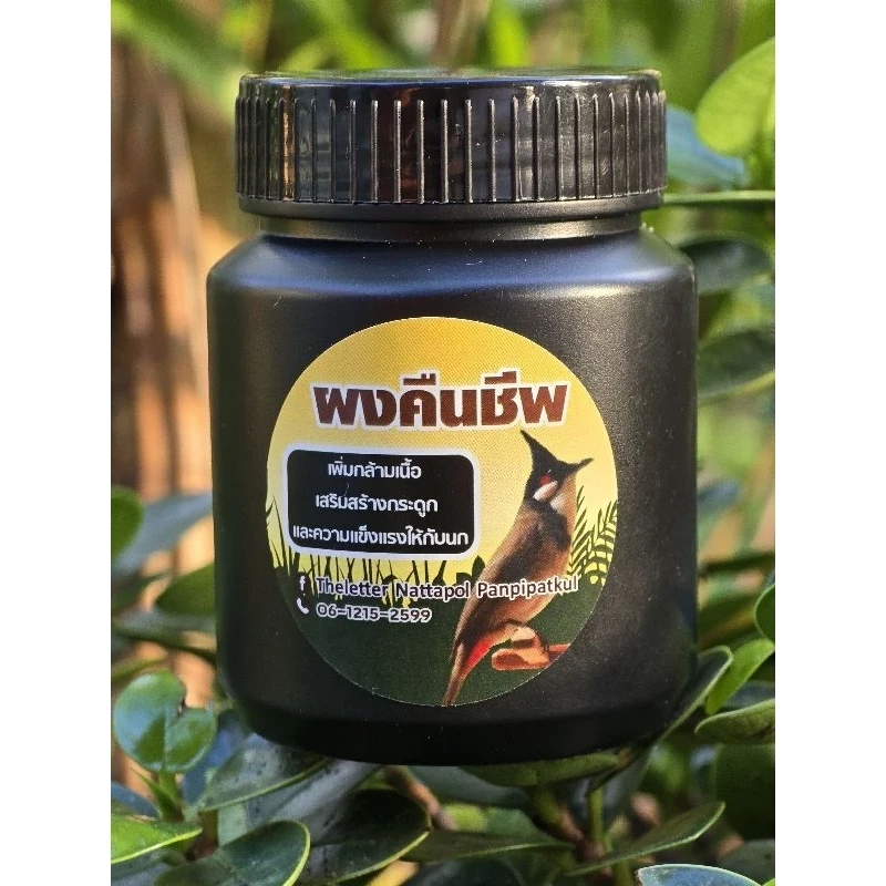 5 เหตุผลที่คุณควรเลือกซื้อ "ผงคืนชีพ ช่วยเพิ่มกล้ามเนื้อให้นกที่ผอม และบำรุงกระดูกสำหรับนกแก่" (อัปเดท 2025)