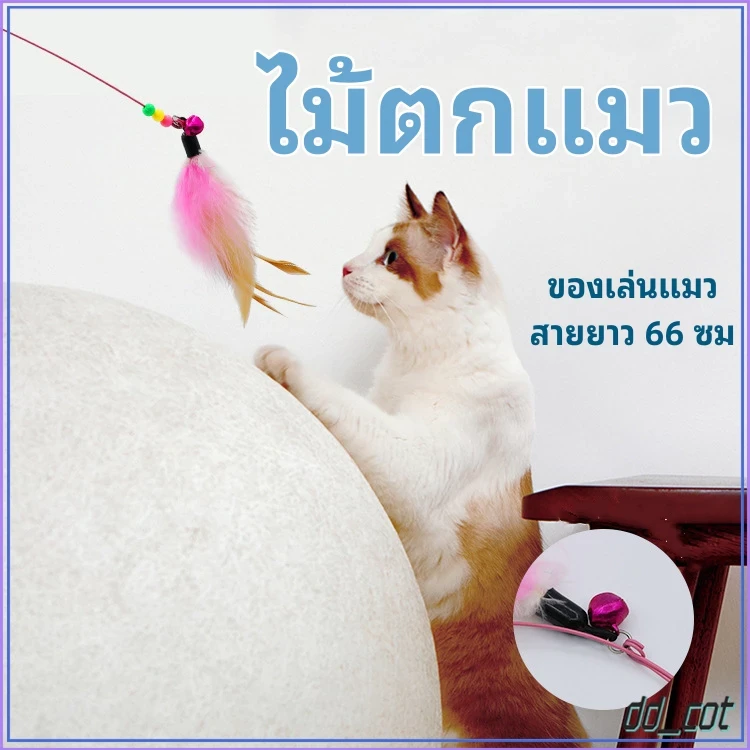 5 เหตุผลที่คุณควรเลือกซื้อ "ไม้ล่อแมว ไม้ตกแมว ของเล่นแมว สายยาว 66 ซม. ไม้ตบแมว รุ่นปอมปอม มีกระดิ่ง/ ไม้แมว ขอเล่นแมว ไม้แมว ยาวสุด ไม้ตกแมวขนนก" (อัปเดท 2025)