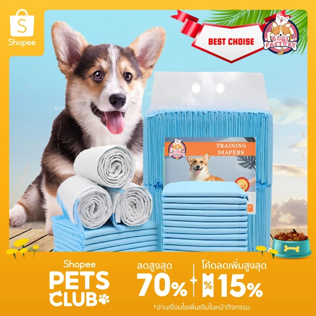 5 เหตุผลที่คุณควรเลือกซื้อ Boqi Factory แผ่นรองฉี่ Cocoyo (อัปเดท 2025)