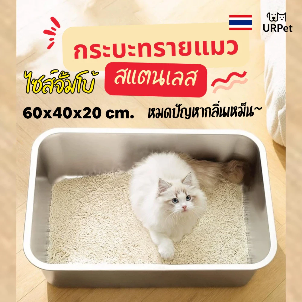 5 เหตุผลที่คุณควรเลือกซื้อกระบะทรายแมวสแตนเลส (อัปเดท 2025)