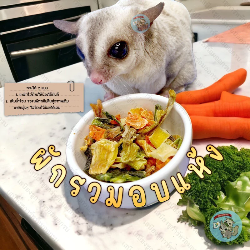 5 เหตุผลที่คุณควรเลือกซื้อ "VEGGIE ผักรวมอบแห้ง ผัก แครอท อาหาร ขนม อาหารเสริม สัตว์ฟันแทะ ชูการ์ กระรอก กระต่าย" (อัปเดท 2025)