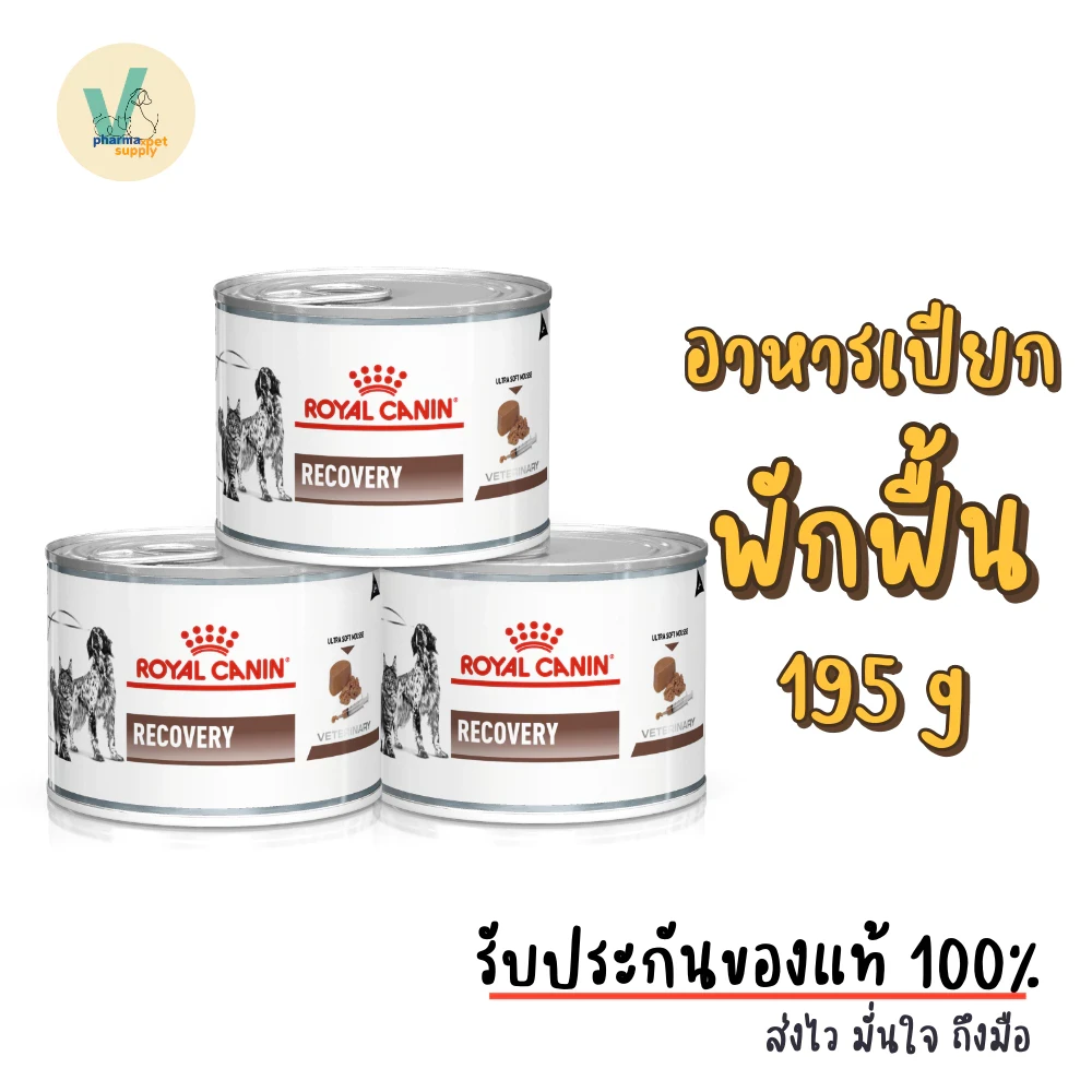 6 กระป๋อง Royal Canin Dog/Cat : Recovery 195 g อาหารเปียกหมาและแมวพักฟื้น เบื่อหรือขาดสารอาหาร (อัปเดท 2025)