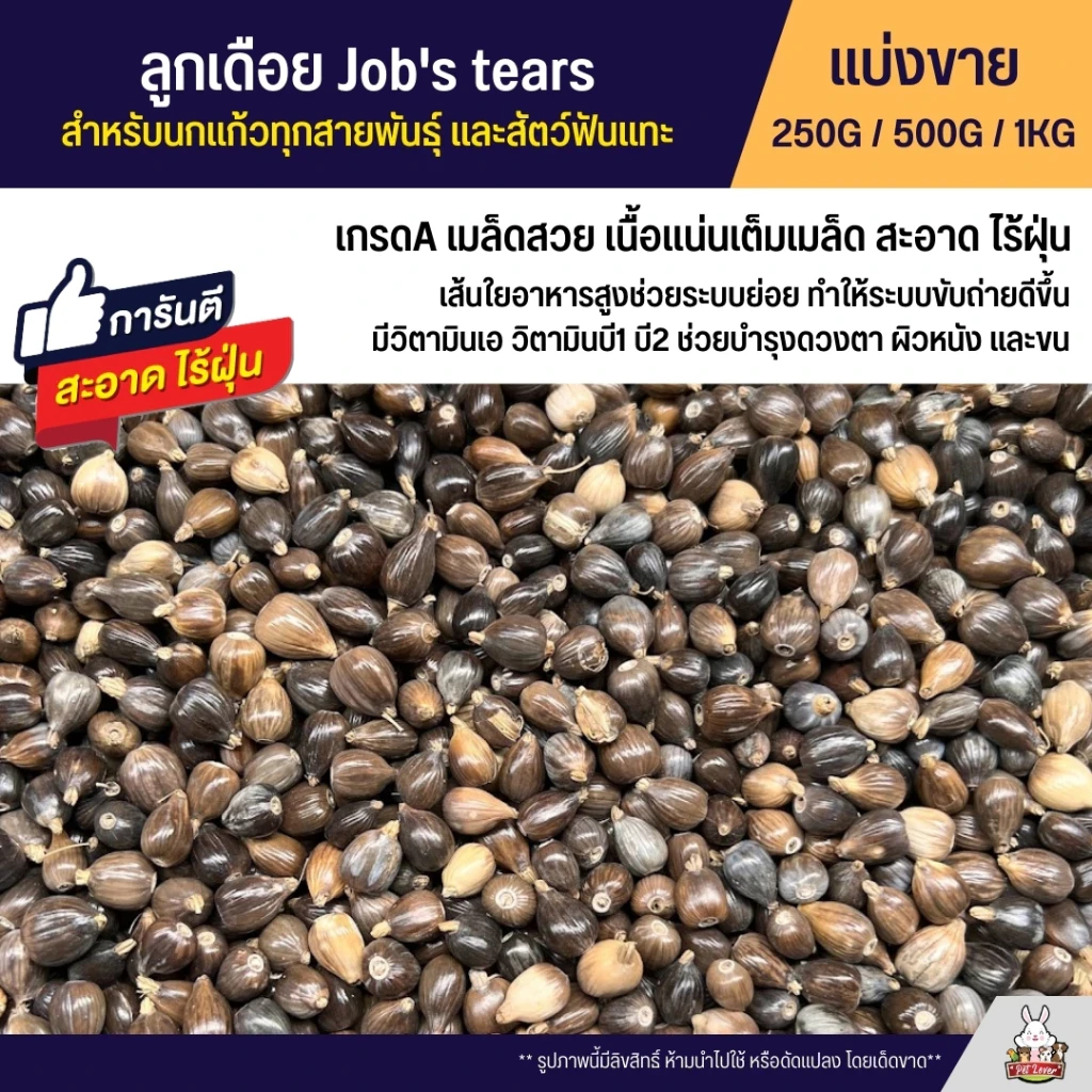 5 เหตุผลที่คุณควรเลือกซื้อ "ลูกเดือย Job's tears เกรดA นำเข้า อาหารนกแก้ว หนูแฮมสเตอร์ และสัตว์ฟันแทะ" (อัปเดท 2025)
