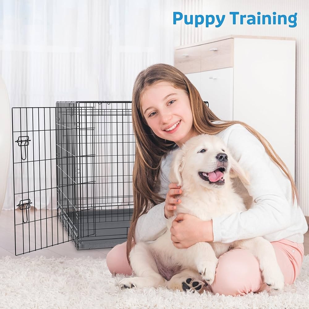 เปิด 5 สถิติน่ารู้ “ฝึกลูกหมาอยู่กรง” ไม่ใช่คุก แต่คือพื้นที่ปลอดภัยที่เจ้าของมือใหม่ไม่ควรพลาด (อัปเดท 2025)