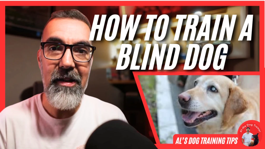 วิถีทาสหมา! 5 วิธีเทรนน้องหมาพิเศษให้ใช้ชีวิตได้เต็มที่ แม้ไม่เหมือนใคร (อัปเดท 2025)