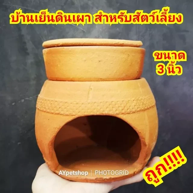 5 เหตุผลที่คุณควรเลือกซื้อ "บ้านดินเผา สำหรับแฮมสเตอร์ และสัตว์เลี้ยงขนาดเล็กอื่นๆ เย็นสบายจากดินเผา (3 นิ้ว)" (อัปเดท 2025)
