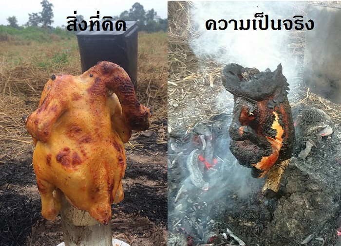 5 ก่อนให้น้องหมากินไก่อบฟาง (2026)
