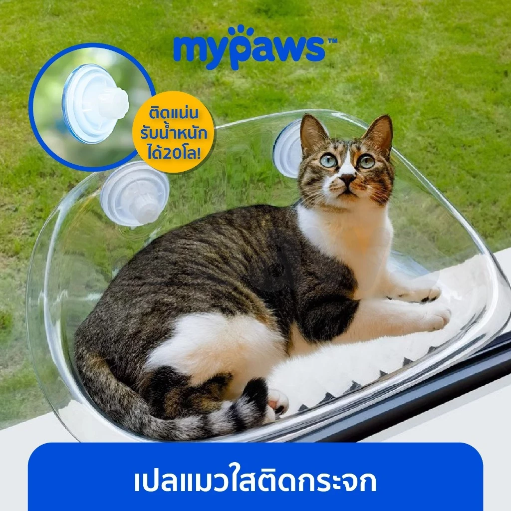 5 เหตุผลที่คุณควรเลือกซื้อ "My Paws เปลแมวติดกระจก แบบใส รับน้ำหนักได้ 20 Kg" (อัปเดท 2025)