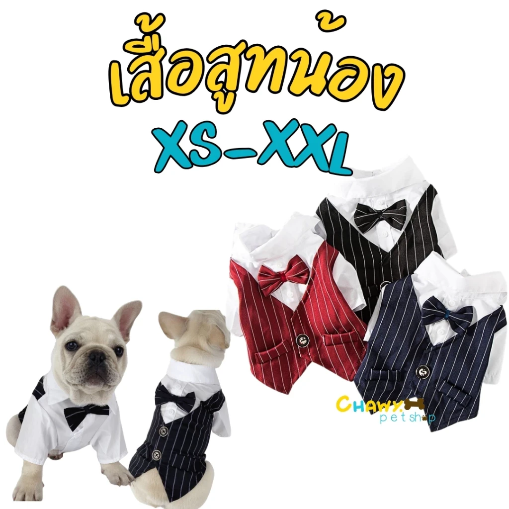 5 เหตุผลที่คุณควรเลือกซื้อชุดสูทออกงานสัตว์เลี้ยง (อัปเดท 2025)