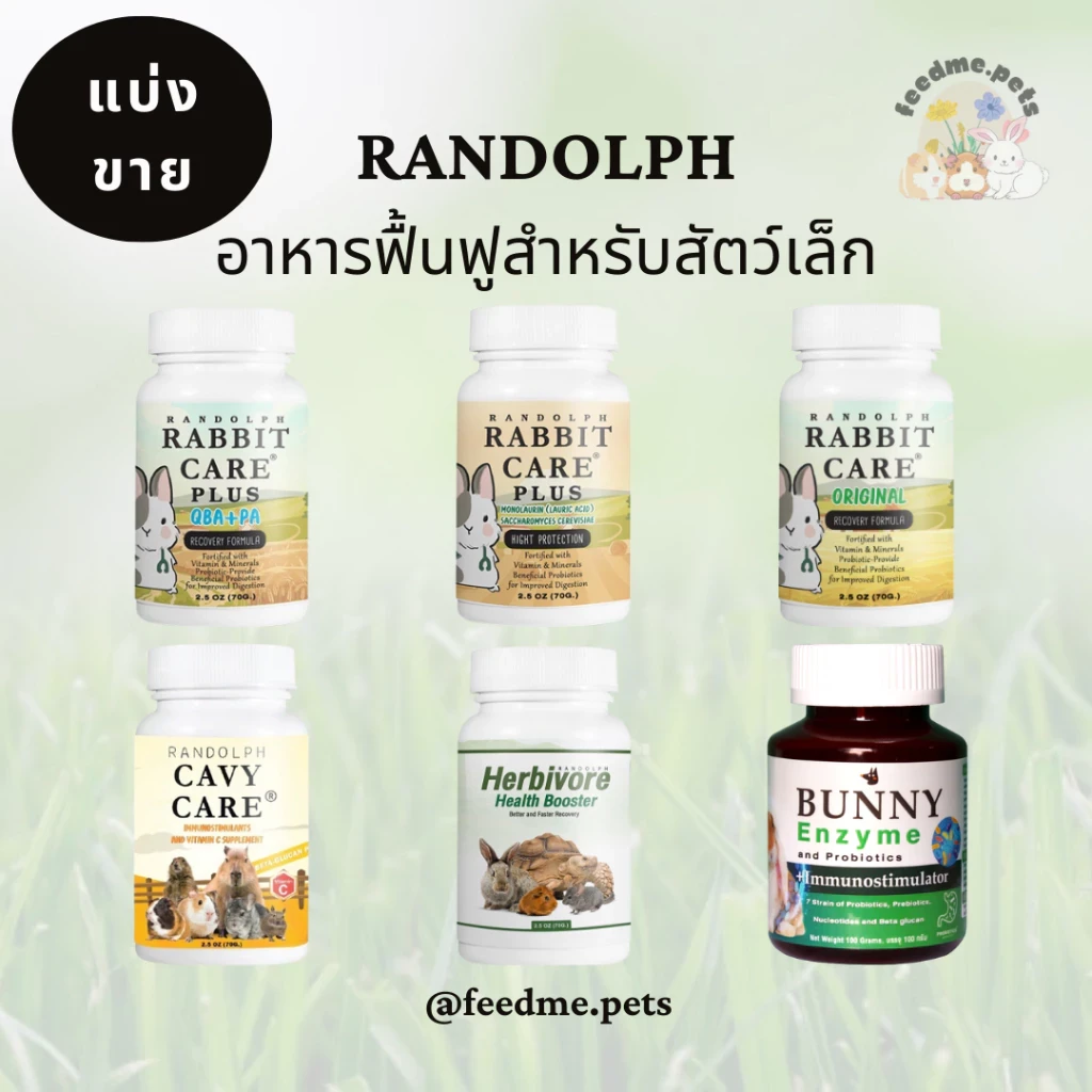 5 เหตุผลที่คุณควรเลือกซื้อ "Randolph อาหารฟื้นฟูร่างกายสำหรับสัตว์กินพืชทุกชนิด" (อัปเดท 2025)