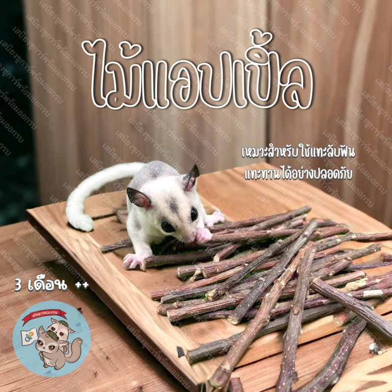 5 เหตุผลที่คุณควรเลือกซื้อ APPLE STICK ไม้แอปเปิ้ล ไม้แทะลับฟันสำหรับสัตว์เลี้ยง (อัปเดท 2025)