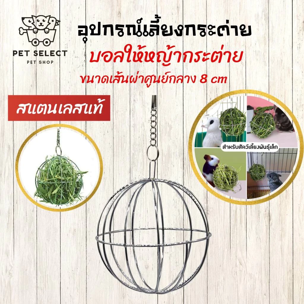 5 เหตุผลที่คุณควรเลือกซื้อ บอลหญ้ากระต่าย (อัปเดท 2025)