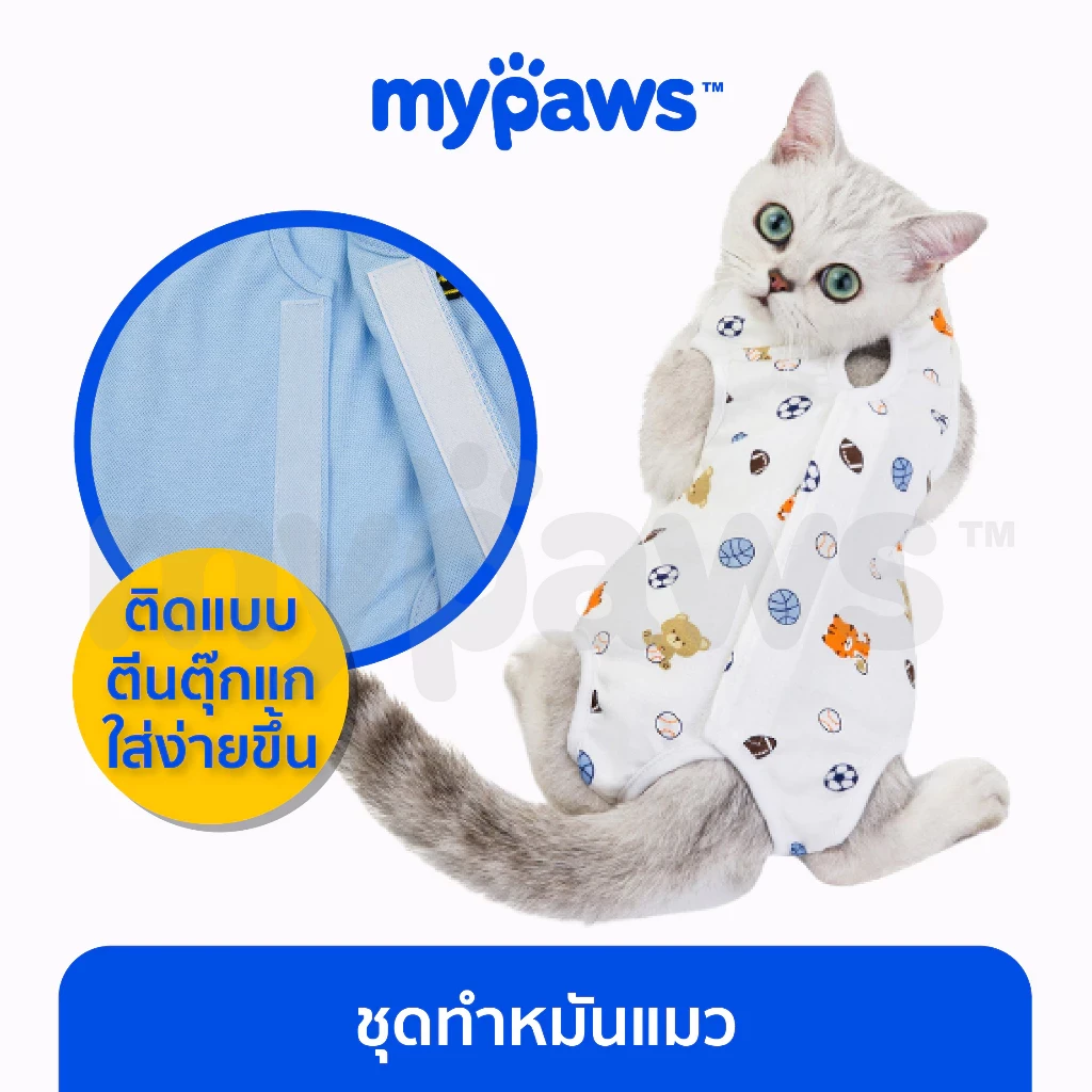 5 เหตุผลที่คุณควรเลือกซื้อ "My Paws ชุดทำหมันแมว ชุดพักผื้นหลังผ่าตัดสำหรับแมว" (อัปเดท 2025)