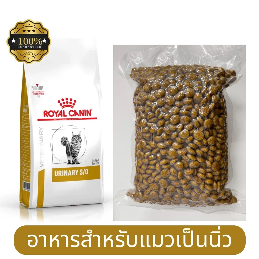 5 เหตุผลที่คุณควรเลือกซื้อ "Royal Canin Urinary s/o cat [แบ่งขาย] อาหารแมวรักษาโรคนิ่ว" (อัปเดท 2025)