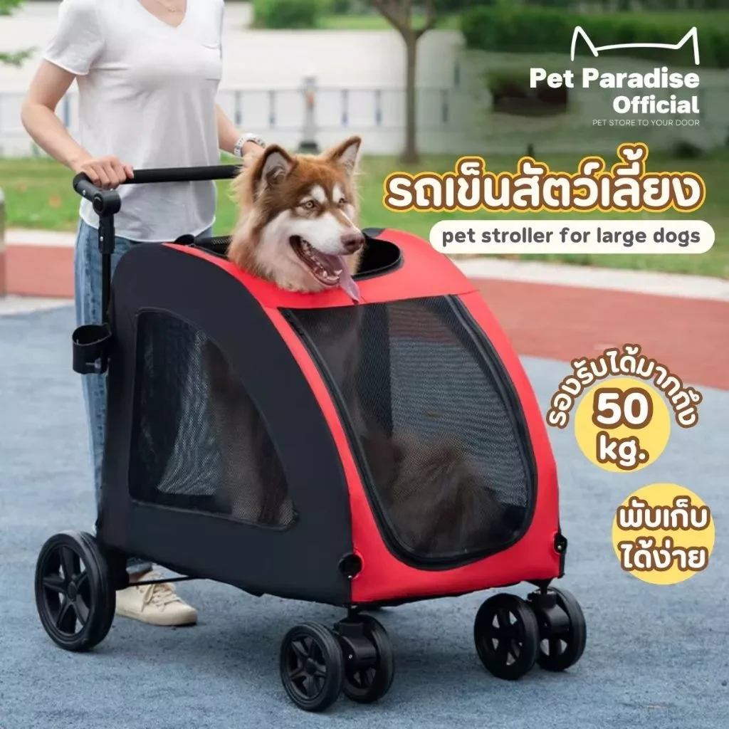 5 เหตุผลที่คุณต้องมีรถเข็นสุนัขตัวใหญ่ - 2025 (อัปเดท 2025)