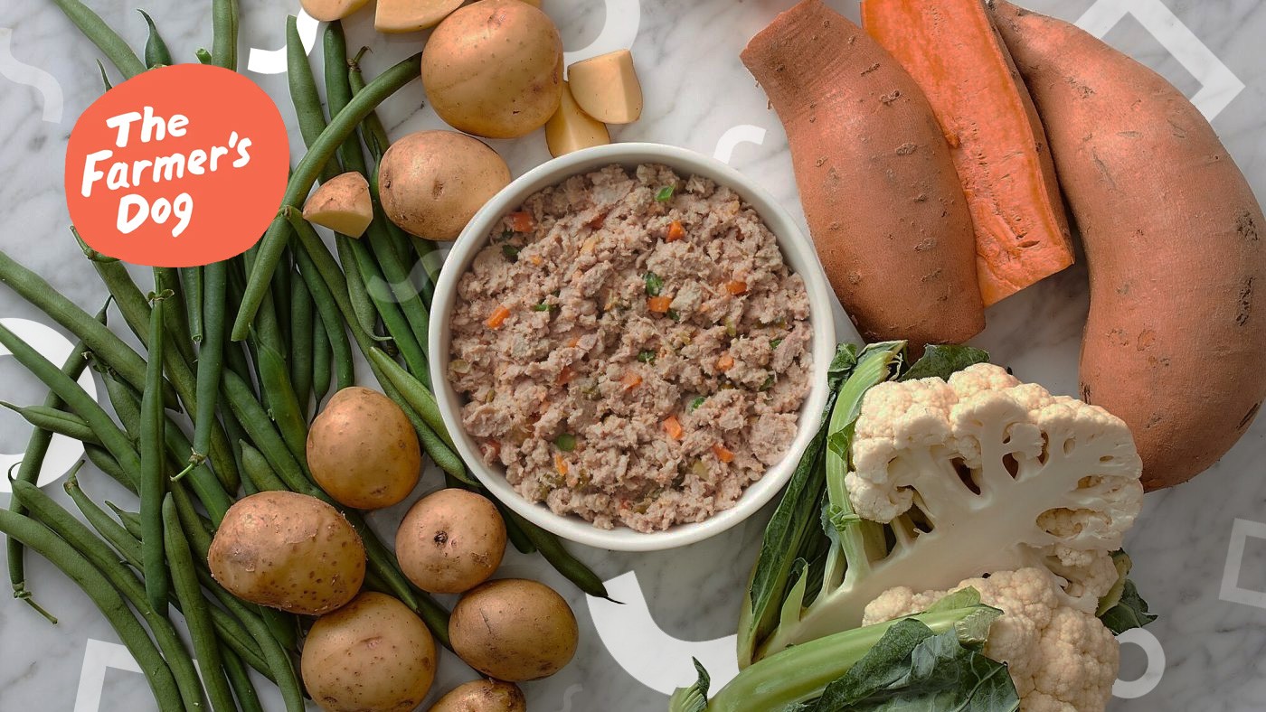 5 เรื่องน่าตกใจเกี่ยวกับ “อาหารสุนัขธรรมชาติ” ที่เจ้าของหมาไม่เคยรู้ (อัปเดท 2025)