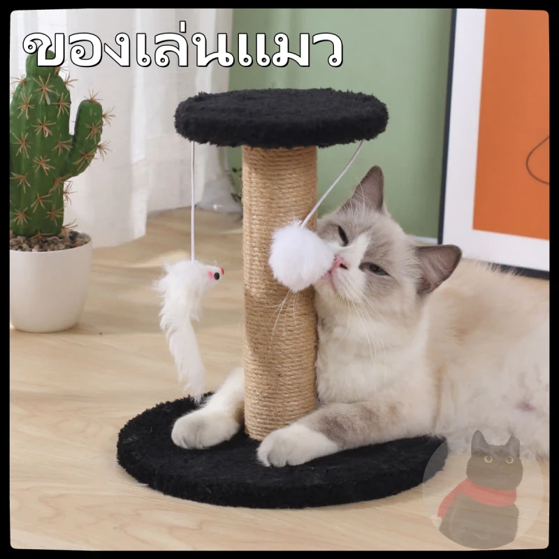 ฝนเล็บแมว คอนโดแมวราคาถูก คอนโดแมว ที่ลับเล็บแมว ที่ฝนเล็บแมว ลับเล็บแมว คอนโดแมวเล็ก ของเล่นแมว (อัปเดท 2025)