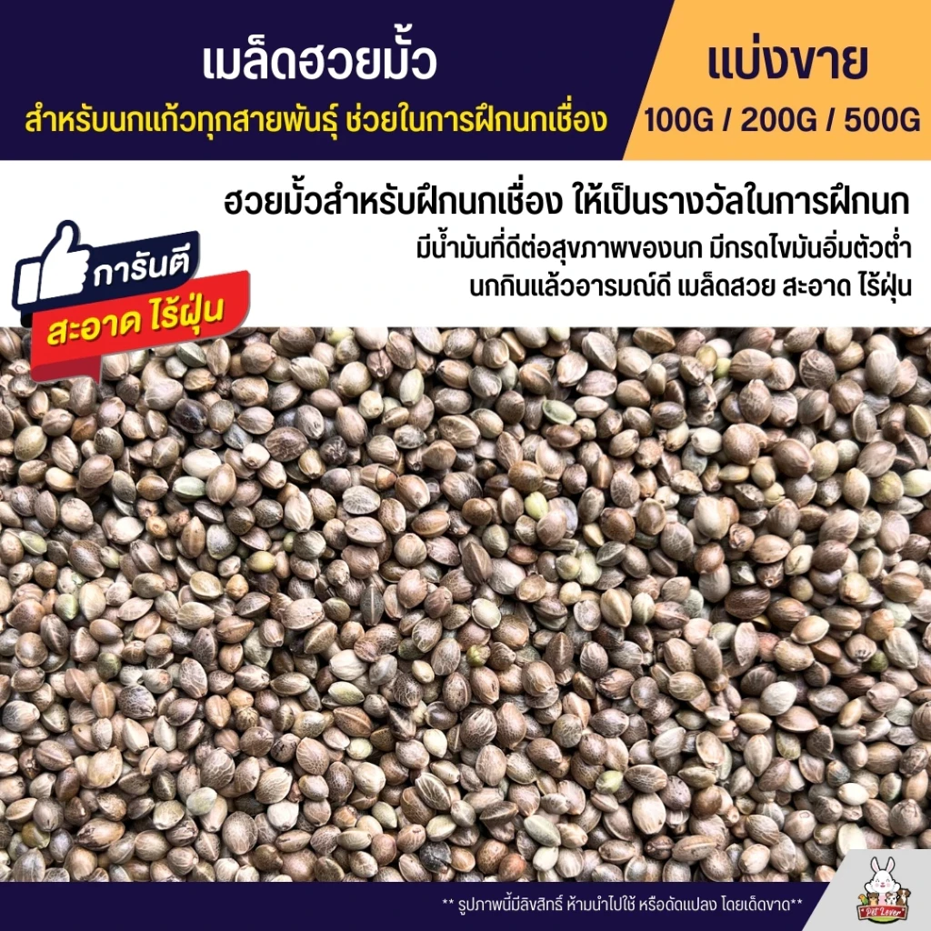 5 เหตุผลที่คุณควรเลือกซื้อ "ฮวยมั้ว เกรดA เนื้อแน่น สำหรับฝึกนก" (อัปเดท 2025)