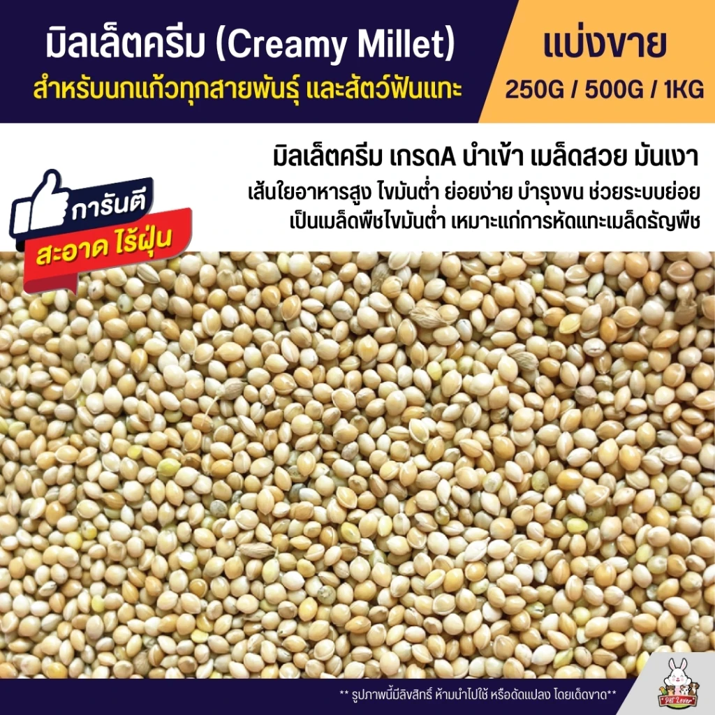 5 เหตุผลที่คุณควรเลือกซื้อ "มิลเล็ตครีม Creamy Millet เกรดA อาหารนกแก้ว และสัตว์ฟันแทะ สะอาด ร่อนฝุ่นทุกถุง" (อัปเดท 2025)
