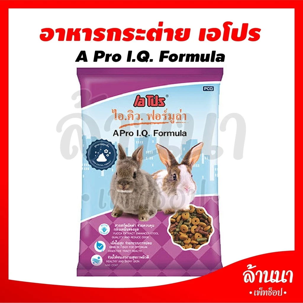 5 เหตุผลที่คุณควรเลือกซื้อ A Pro I.Q Formula (อัปเดท 2025)