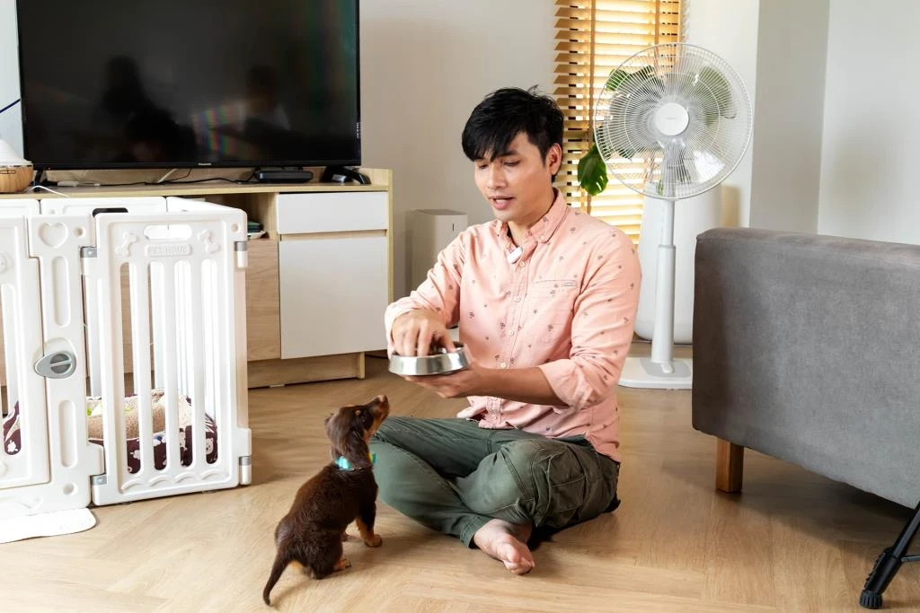 โค้ชเชาวน์บริการฝึกสุนัข โค้ชเชาวน์ซุปเปอร์ 100 (อัปเดท 2025)