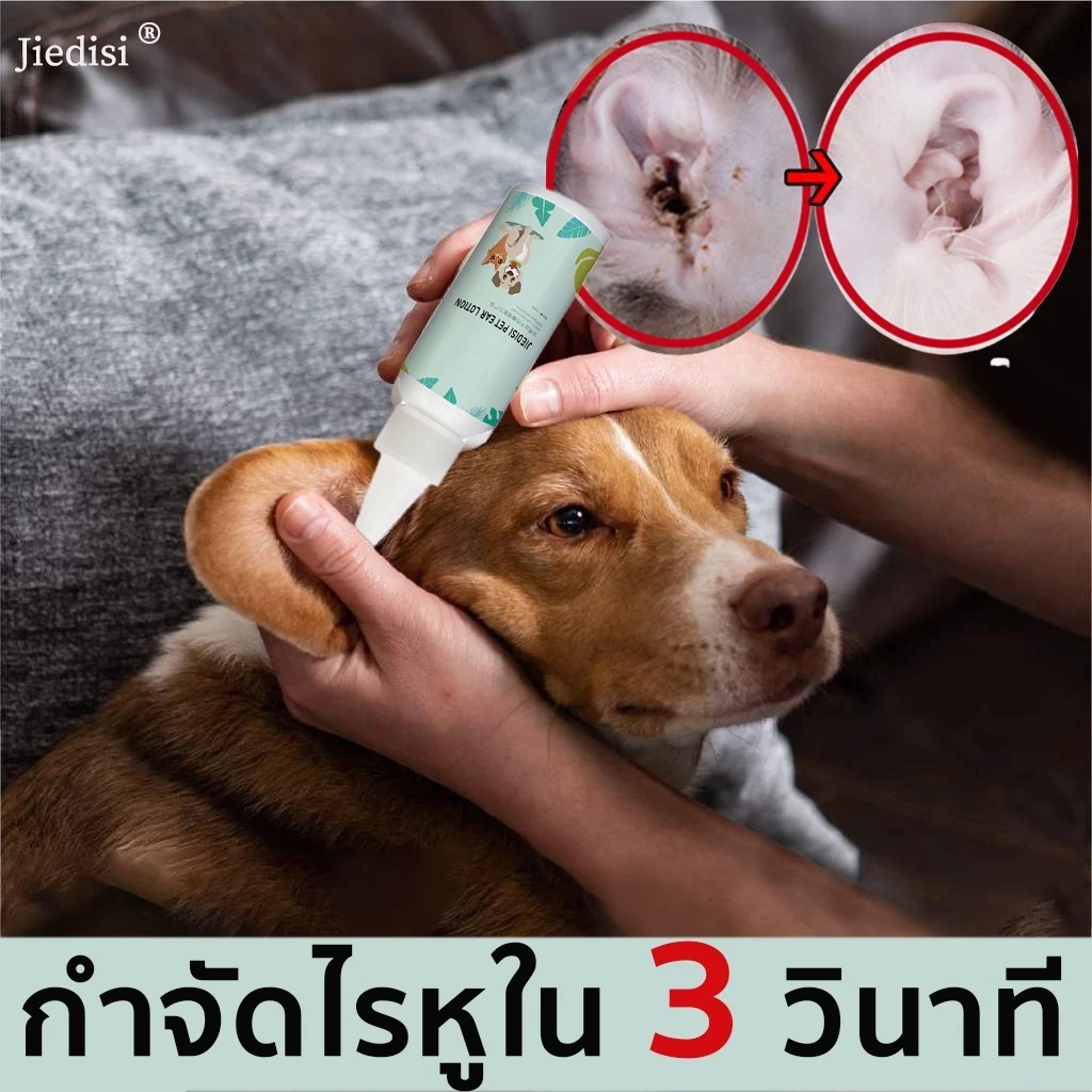 5 เหตุผลที่คุณควรเลือกซื้อ "JIEDISI ยาหยอดไรหู อ่อนโยนและไม่ระคายเคือง" (อัปเดท 2025)